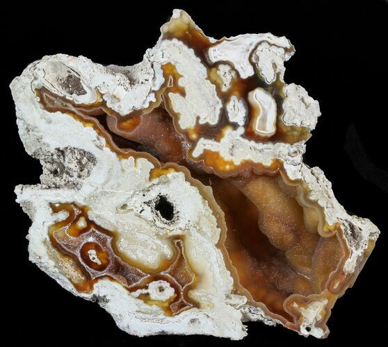 Agatized Fossil Coral Geode With Druzy Crystals - Florida #57710